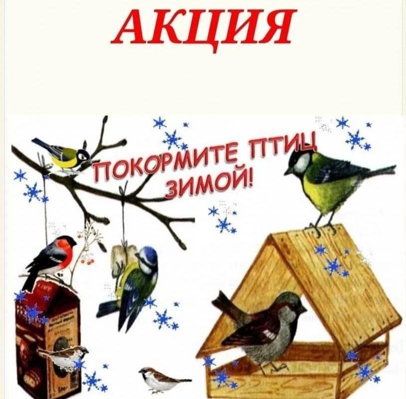 Акция «Покорми птиц зимой».